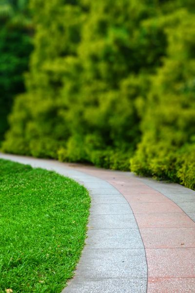 Pedestrian Walkway Renovation